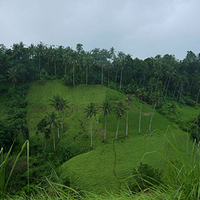 Photo de Bali - Balade, Garuda et spectacle